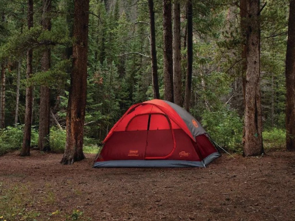 Coleman Flatwoods II 4 Person Tent in the woods