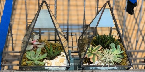 Geometric Terrarium Only $12.99 at ALDI | Great Gift Idea