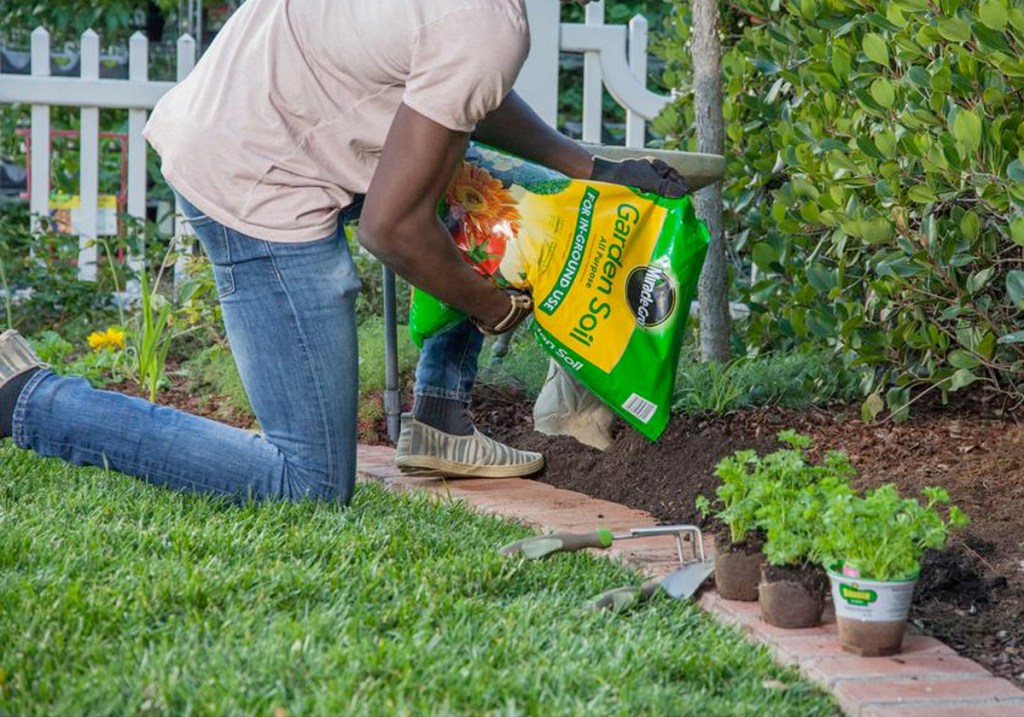 mean kneeling in garden and pouring a bag of miracle-gro garden soil around plants