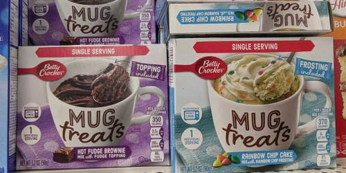 Betty Crocker Mug Treats Only $1 at Dollar Tree | Dessert In Less Than A Minute