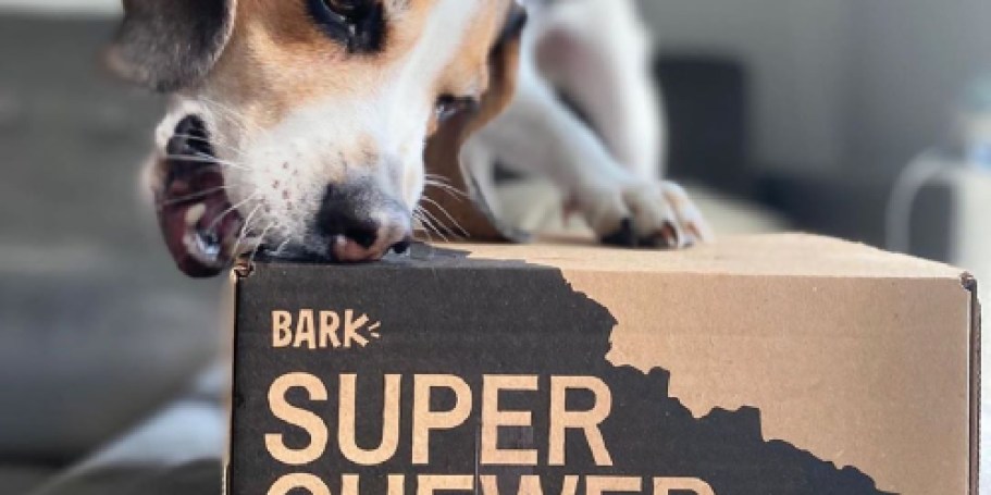 Score Your Dog’s First Super Chewer Box for Only $17.60 Shipped | Includes Toys AND 2 Full-Size Treat Bags!