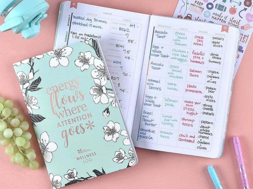 Erin Condren Wellness Planning Bundle with book and stickers