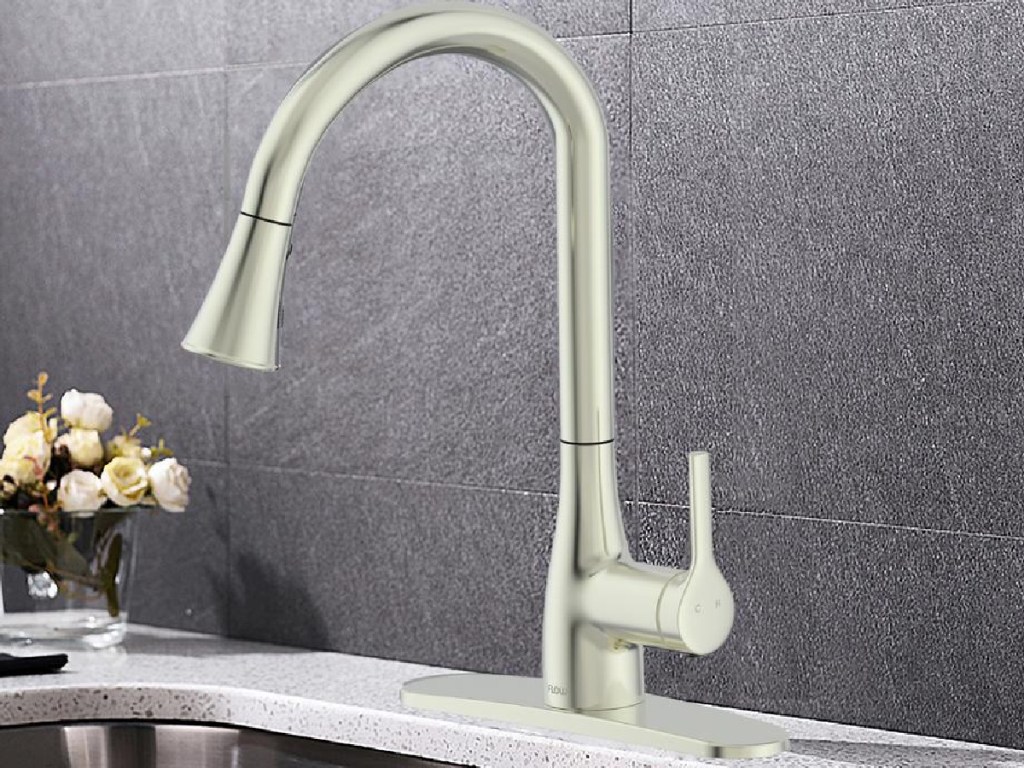 Flow brushed nickel faucet in a kitchen next to flowers