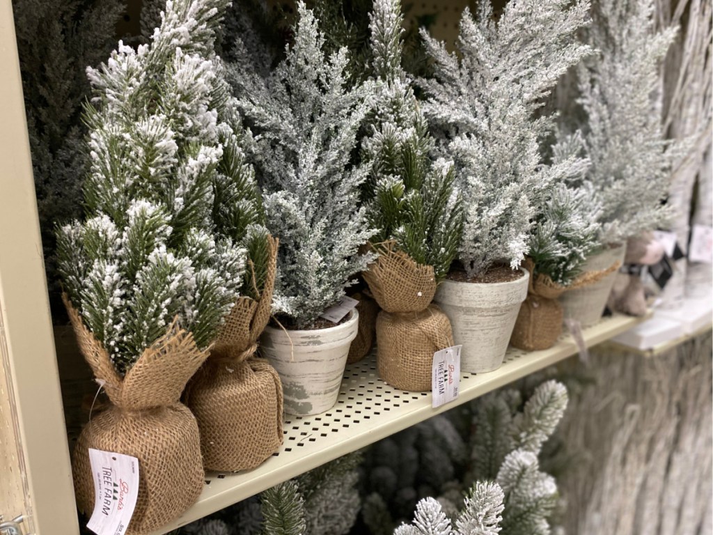 mini glitter christmas trees on store shelf