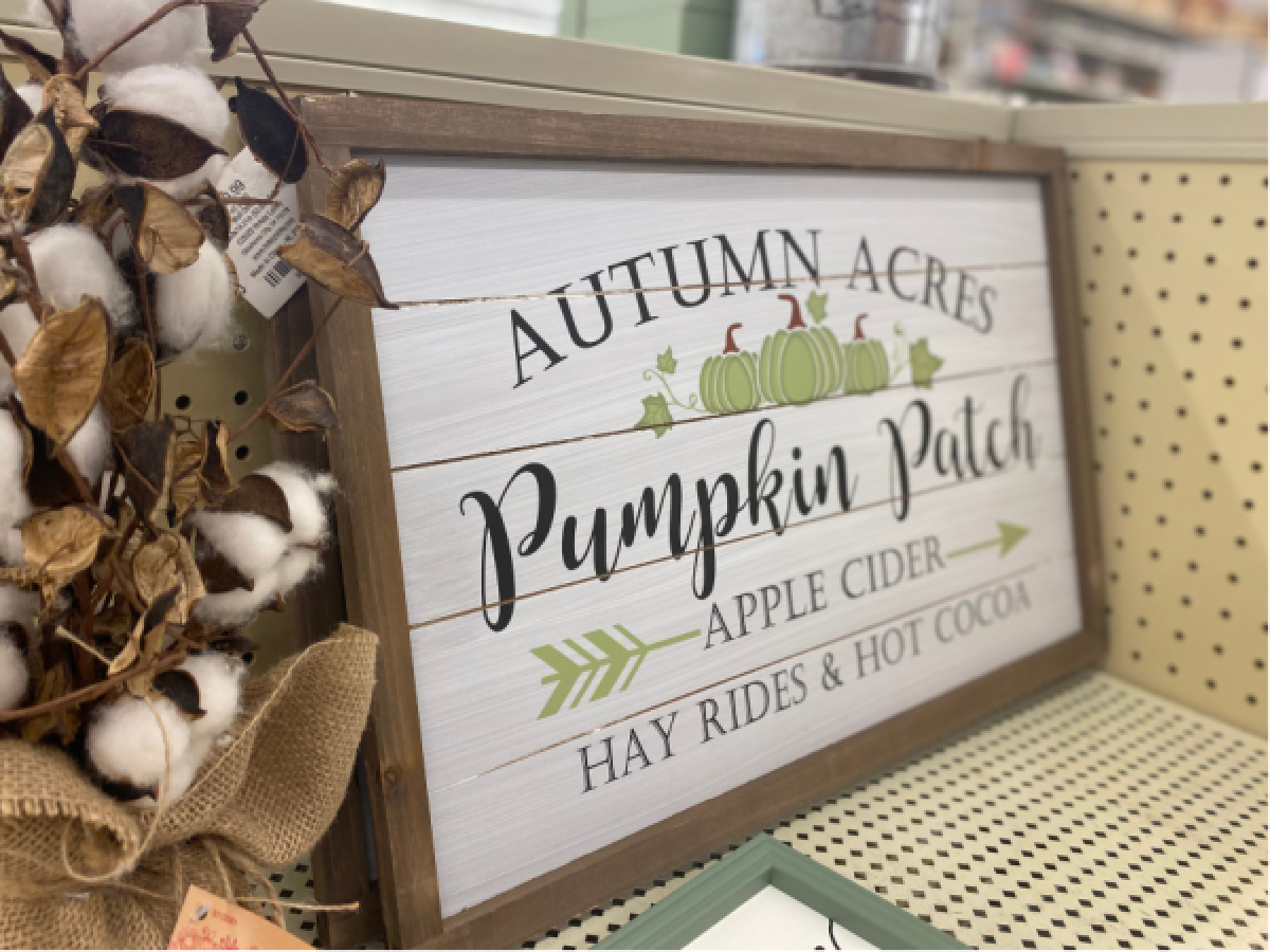 pumpkin patch wall decor on store shelf