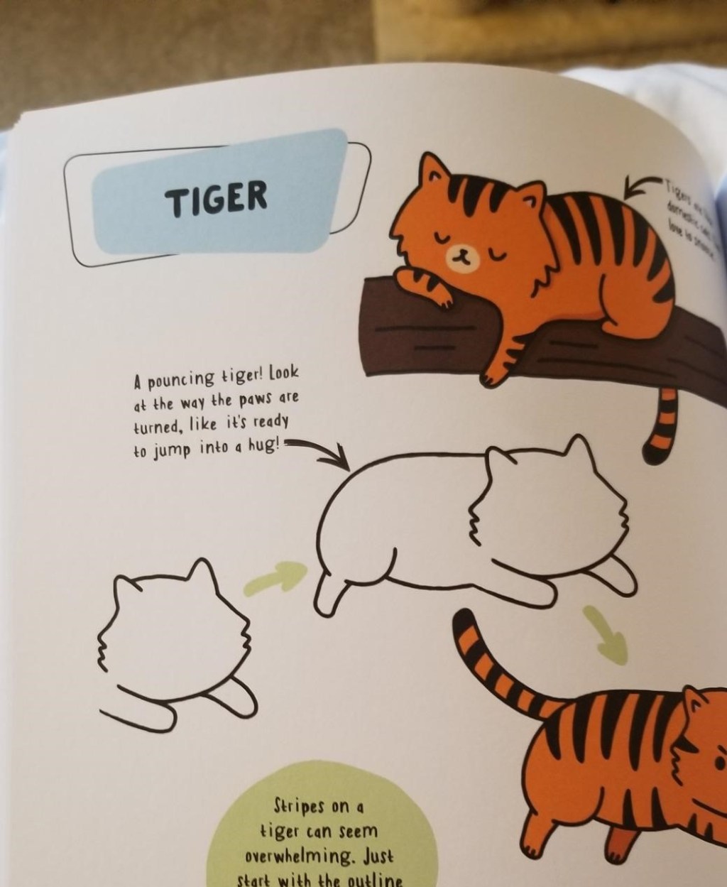 how to draw a tiger page in a book