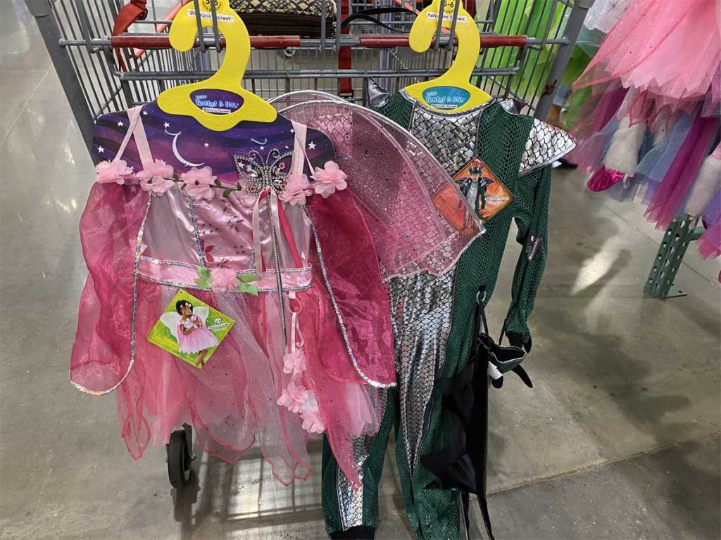 fairy child costume