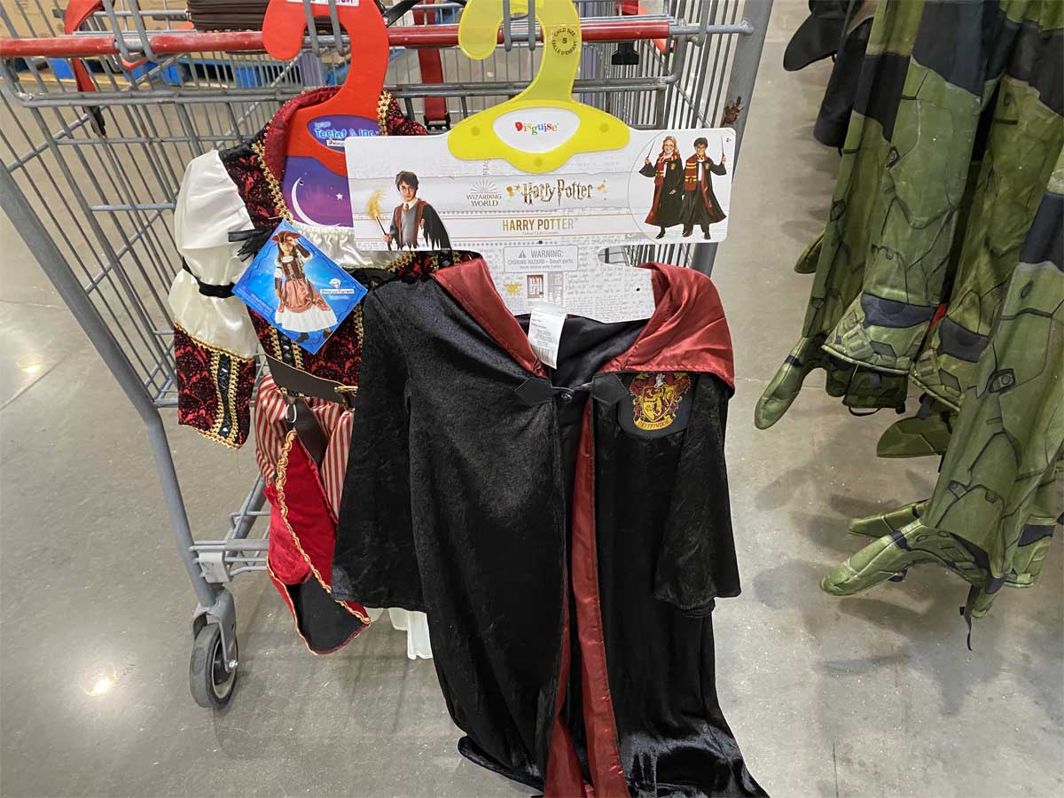 harry potter costume