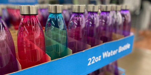 Mainstays Water Bottles Possibly Just 25¢ at Walmart | Stainless Steel Lid & Base