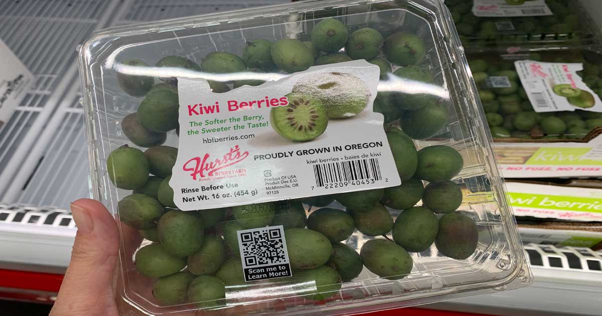 hand holding a container of kiwi berries 