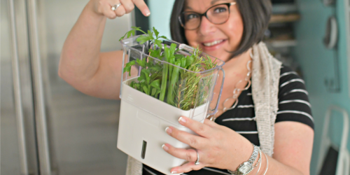 Here are 2 Easy Ways to Keep Herbs Fresh for Over 3 Weeks in the Fridge!