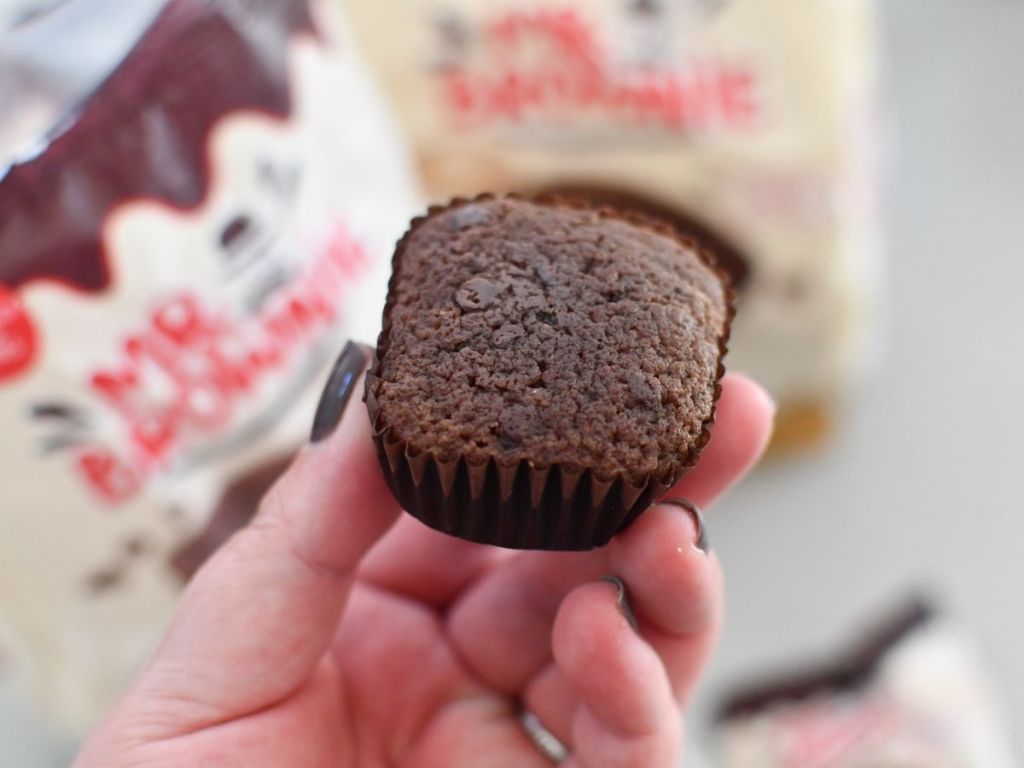 hand holding square brownie bite