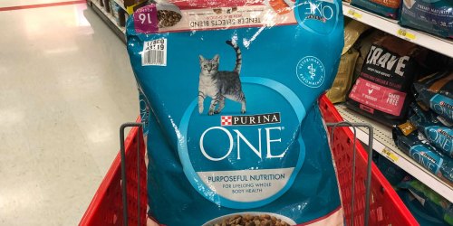 Purina One Dry Cat Food 16-Pound Bag Only $13.85 Shipped on Amazon