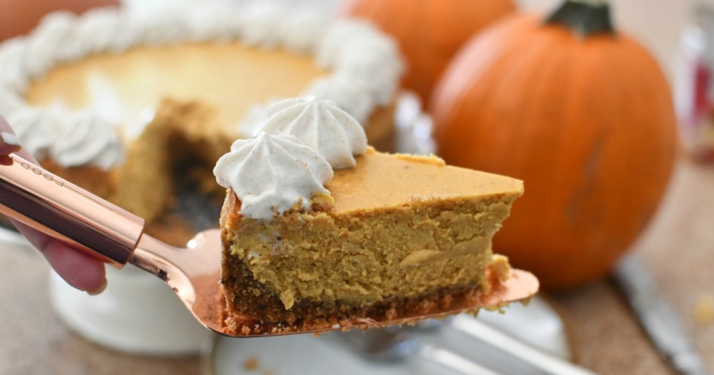 pumpkin cheesecake on a serving spatula