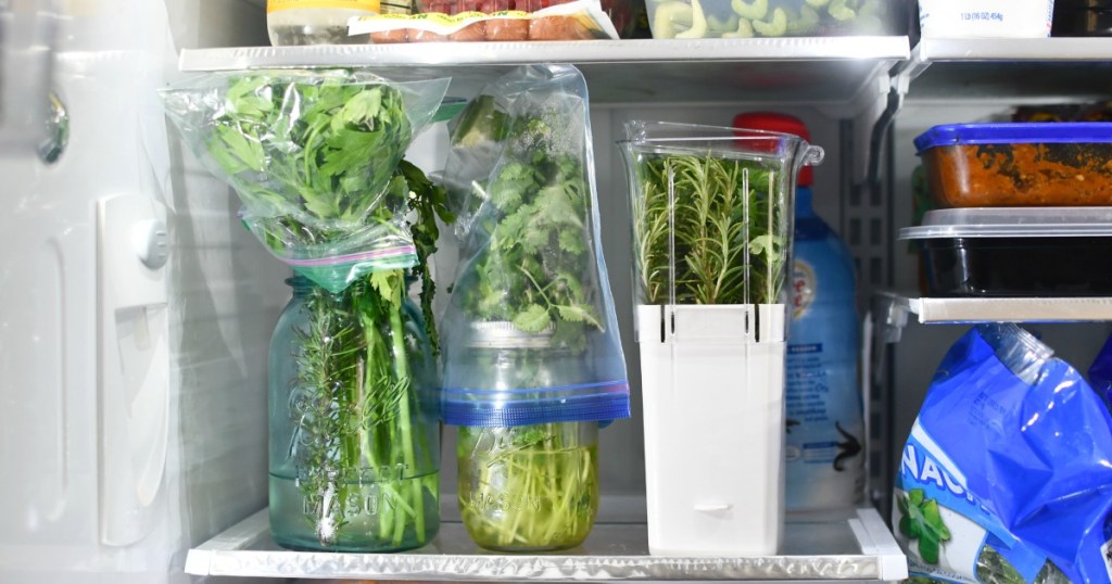 two ways to keep herbs fresh in the fridge for weeks