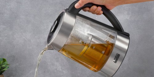 Bella Electric Tea Kettle w/ Steeping Basket Only $29.99 on BestBuy.com (Regularly $70)