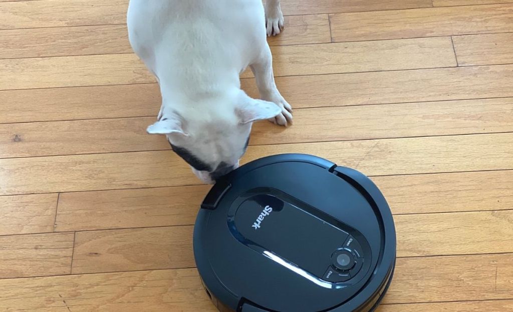 A dog sniffing a robot vacuum on the ground