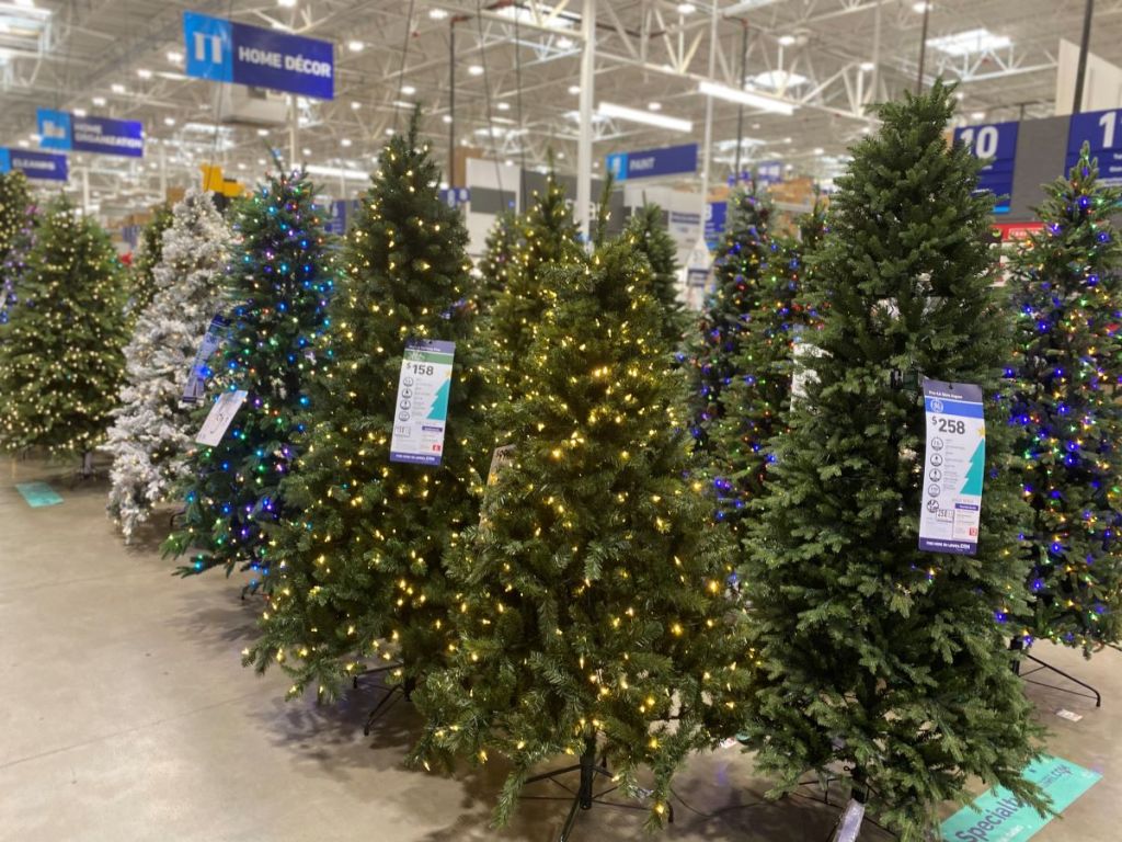 display of Christmas trees at Lowe's