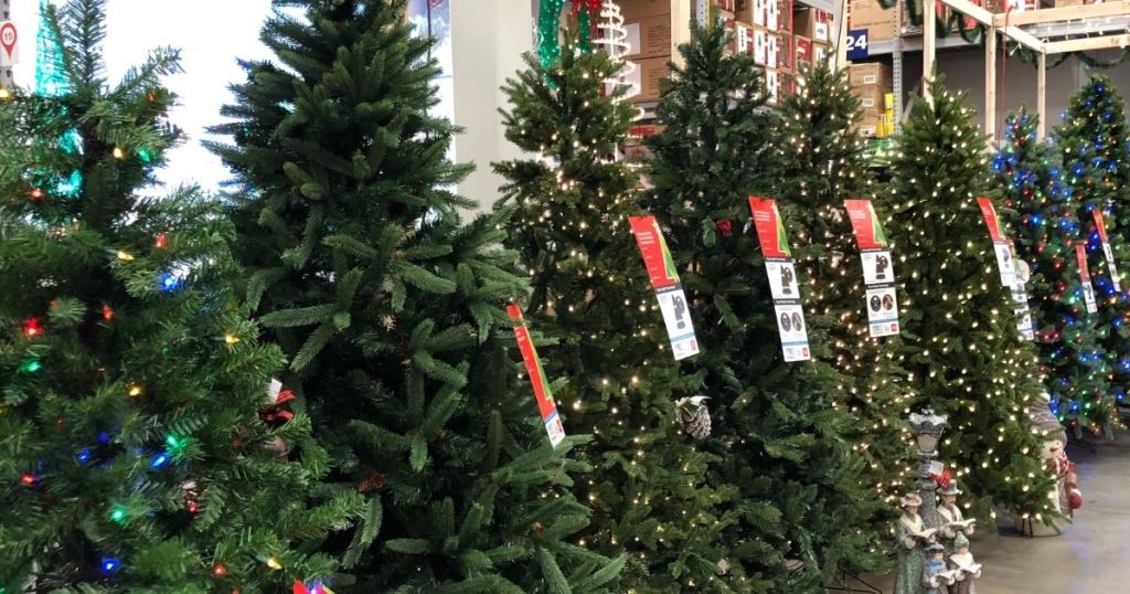 row of Christmas trees at Lowe's