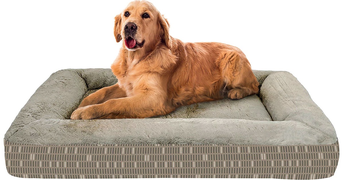 Golden Retriever on a Member's Mark Pet Bed