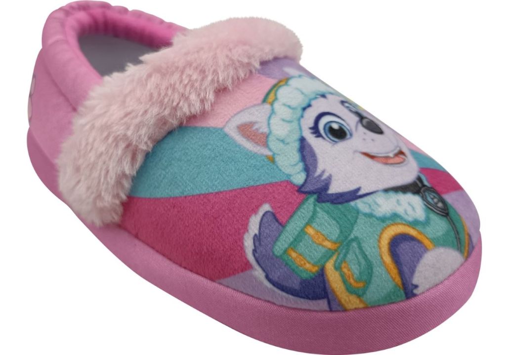 Paw Patrol slipper with Skye on it