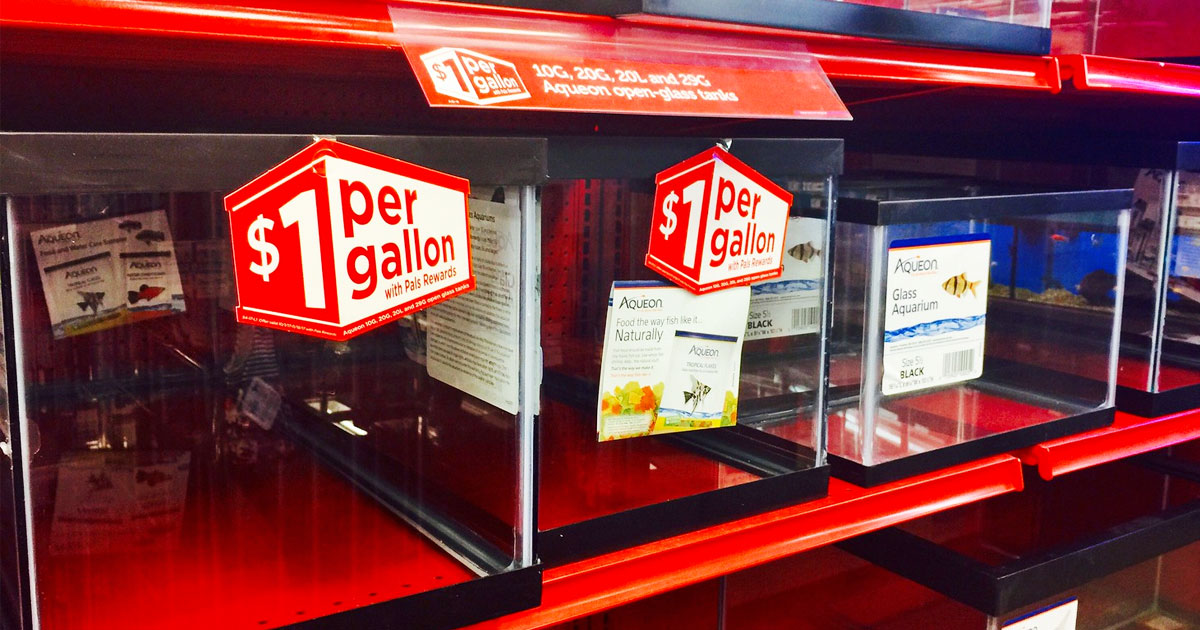 glass aquarium tanks on red shelf at Petco