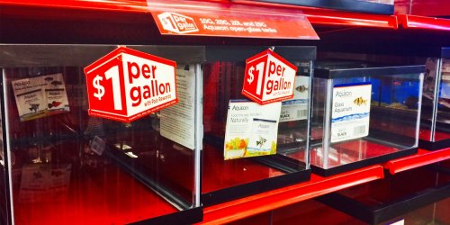 50% Off Aqueon Fish Tanks on Petco.com | Awesome Reviews