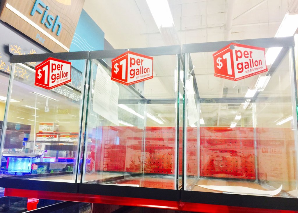 glass aquarium tanks on red shelf at Petco