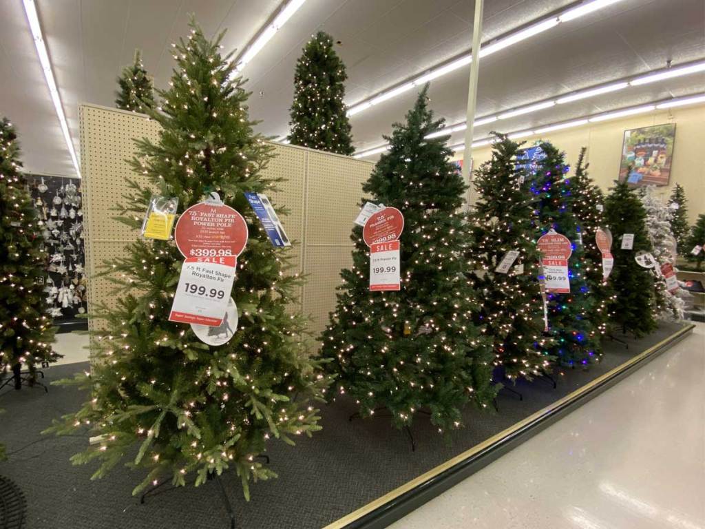 christmas trees on display in a store