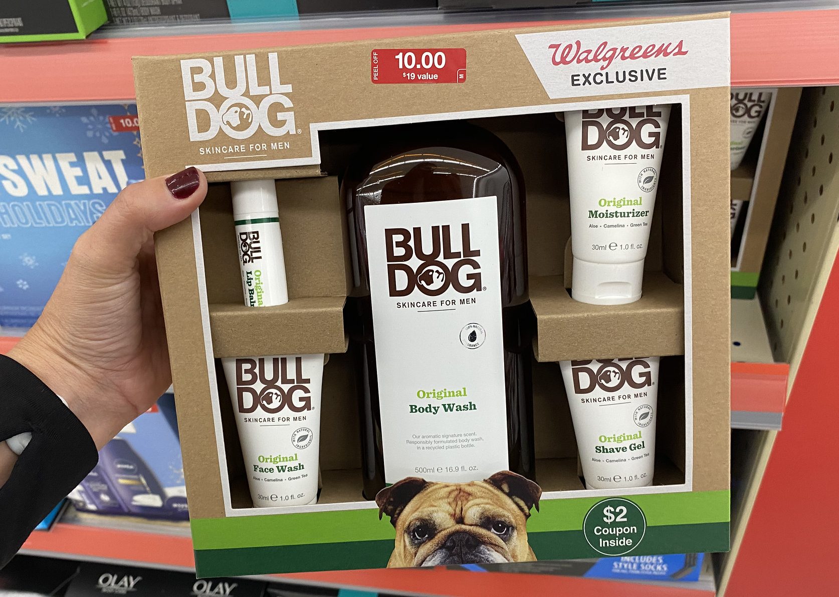 bulldog gift set in hand in store