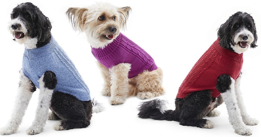 dogs wearing sweaters