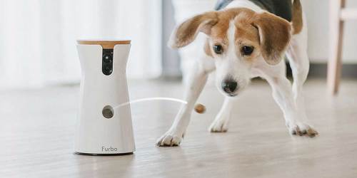 Furbo 360 Degree Dog Camera Treat Dispenser Only $145 Shipped on Amazon (Reg. $210)