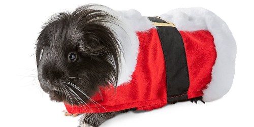 Merry & Bright Guinea Pig Costumes Just $6.99 at PetSmart