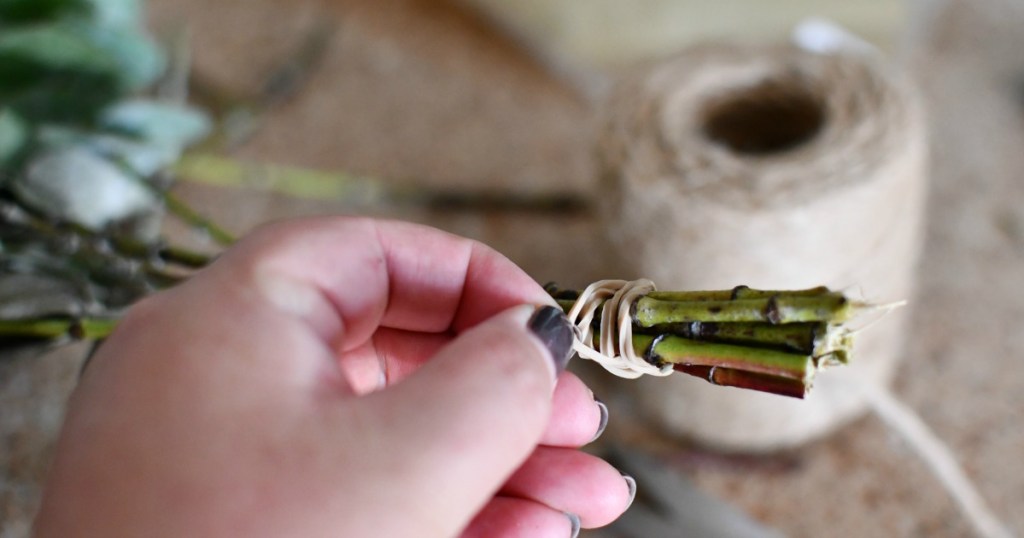 placing a rubber band over eucalyptus 