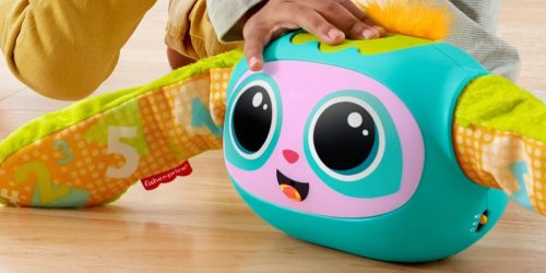 Fisher-Price Rollin’ Rovee Just $19.99 on Target.com (Regularly $40)