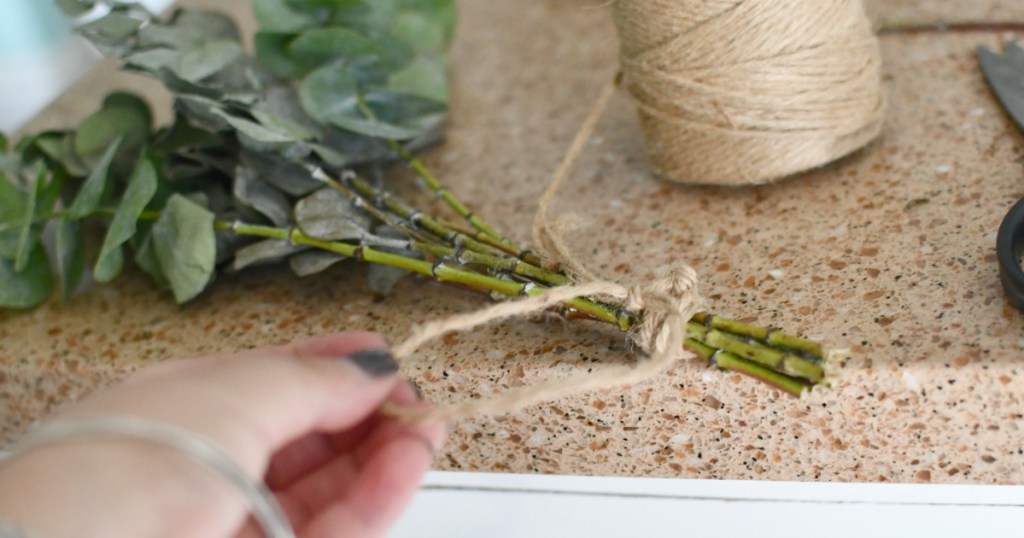 tying twine to eucalyptus