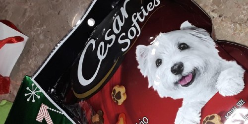 Cesar Dog Treats as Low as $1 Shipped on Amazon (Regularly $9)