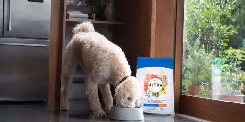 Nutro Dry Puppy Food 30-Pound Bag from $15 Shipped on Amazon (Regularly $48)