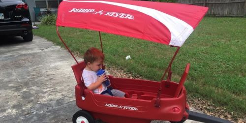Radio Flyer Wagon Canopy Only $9.97 on Amazon (Regularly $40)