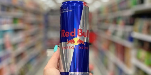 Big Lots Free Item Coupon | FREE Red Bull for Rewards Members!