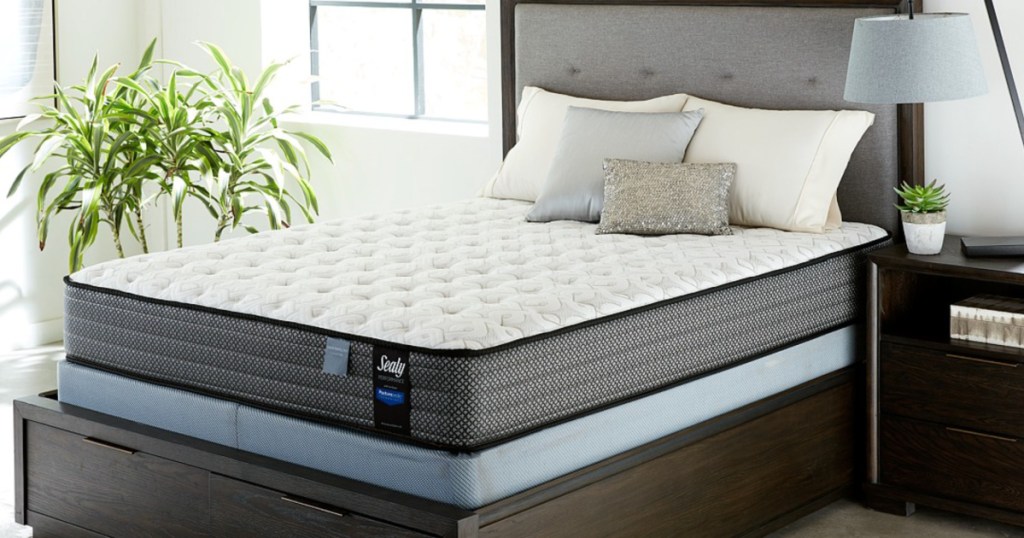 sealy mattress on a box frame in a bed room