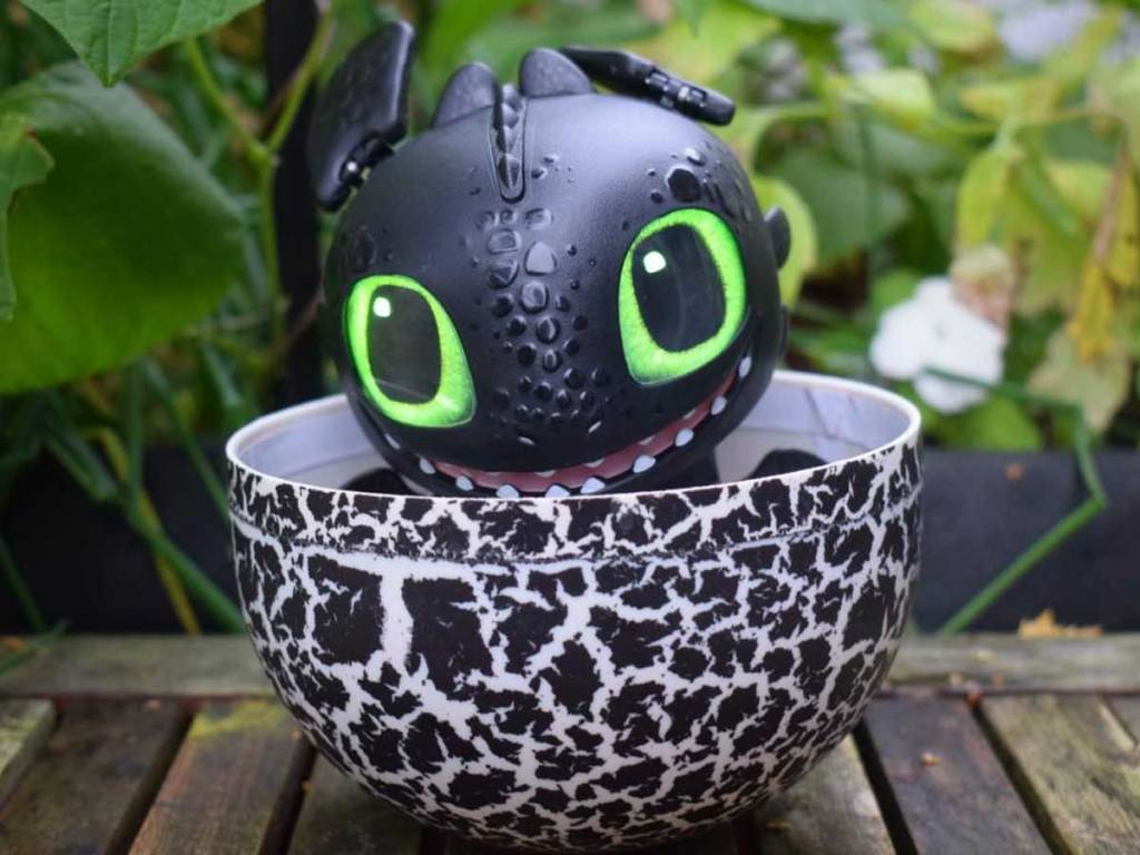 toothless dragon in an egg