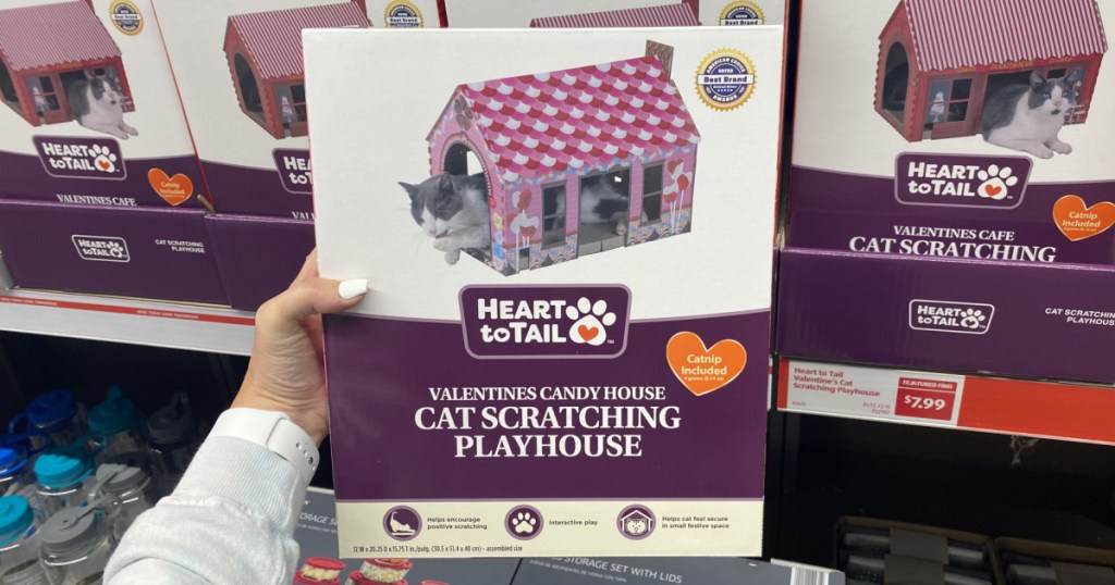 ALDI valentine cat scratching houses