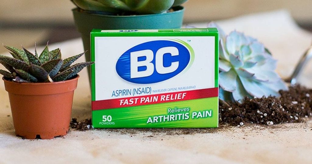 BC Arthritis pain box with succulents