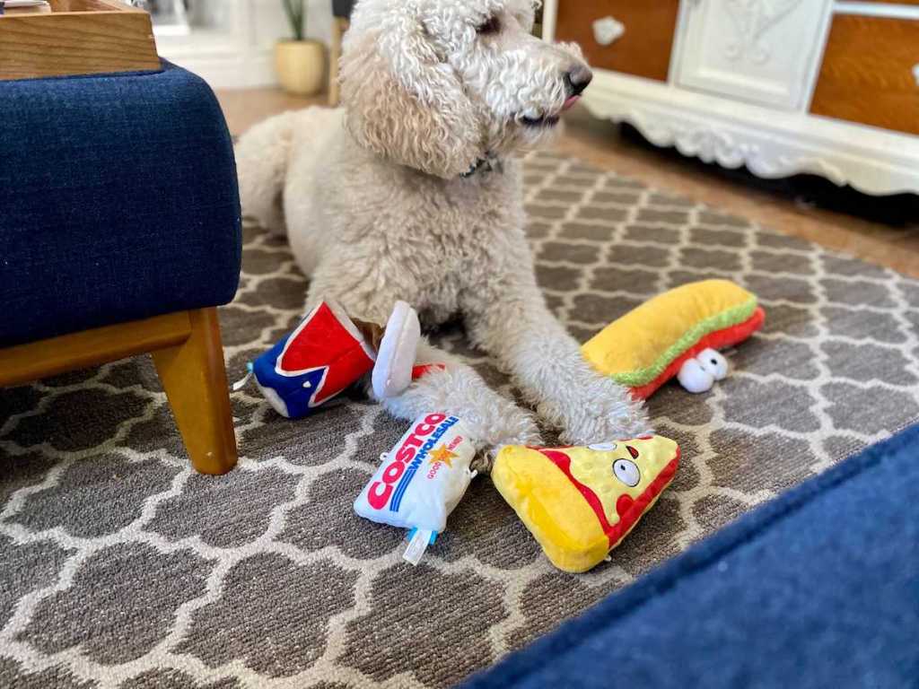 Costco Dog Toys with Lina's Dog