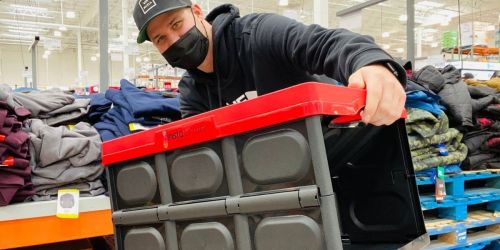 Greenmade Instacrate Collapsible 12-Gallon Storage Crates Only $6.99 at Costco