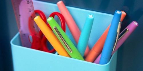 Paper Mate Felt Tip Pens 20-Count Only $9.74 on Walmart.com (Regularly $26) | Great Reviews