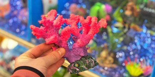 Up to 65% Off Aquariums & Supplies at PetSmart | Fish Tanks from $9.99, Filters from $1.97 & More