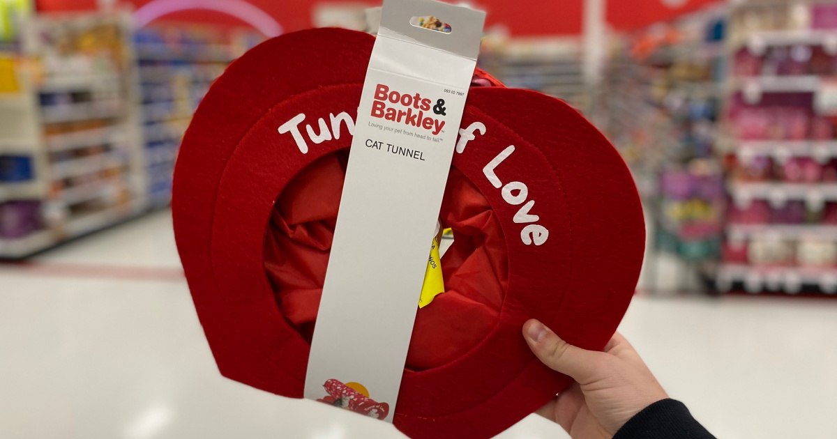 hand holding a heart shaped cat tunnel at target 