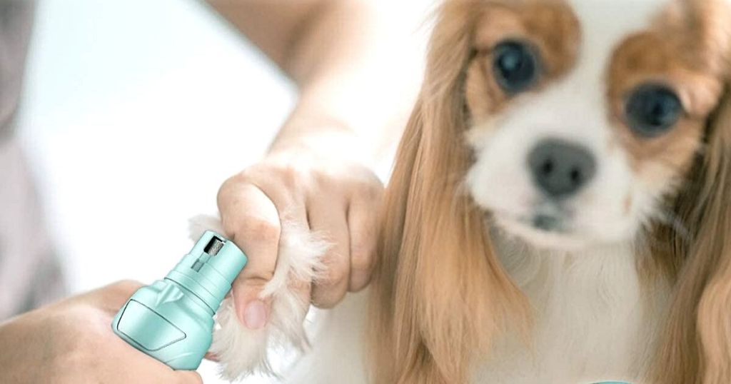 woman using green Petural nail grinder on dog's nails